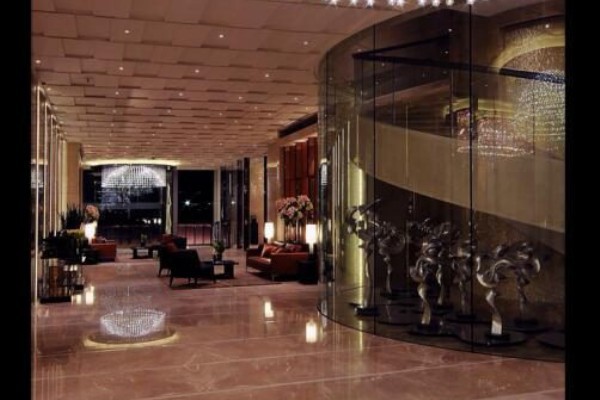 成都隐居体验，小院茶香养生生活(成都小茶院民宿)