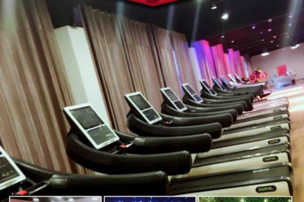 茶韵成都：探寻养生休闲秘籍(茶韵茶艺馆)